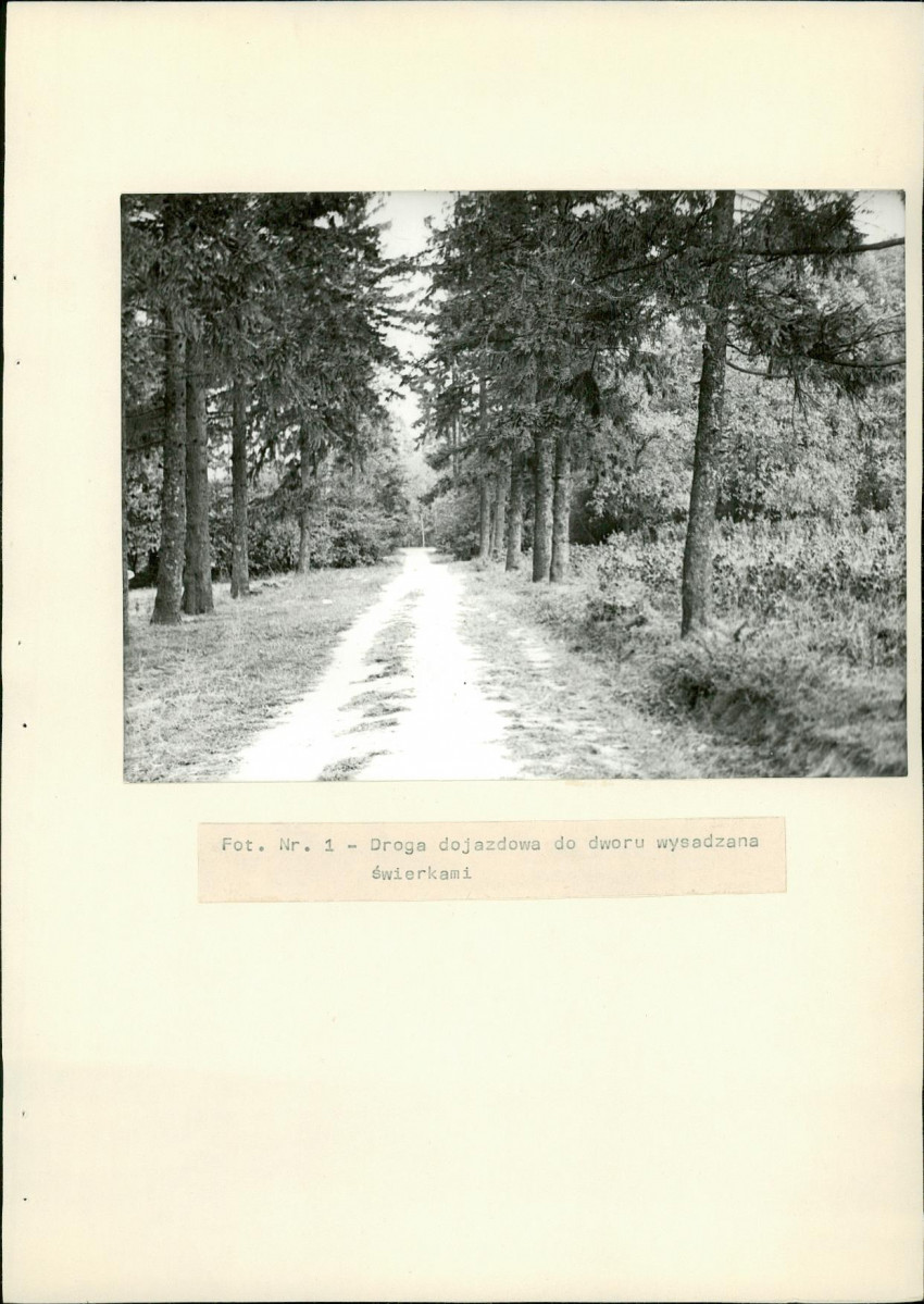 Ewidencja parkowa, skan nr 22