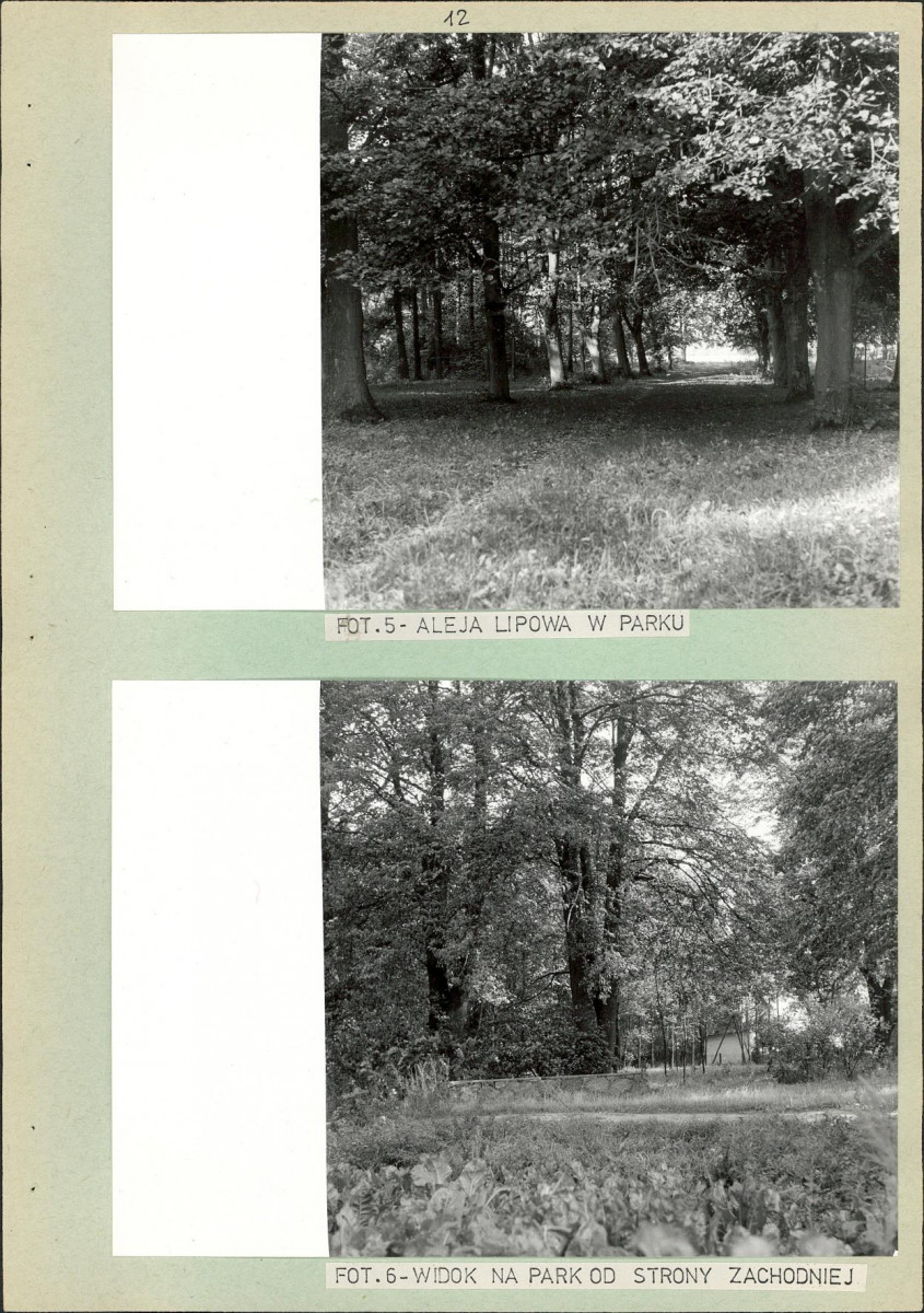 Ewidencja parkowa, skan nr 19
