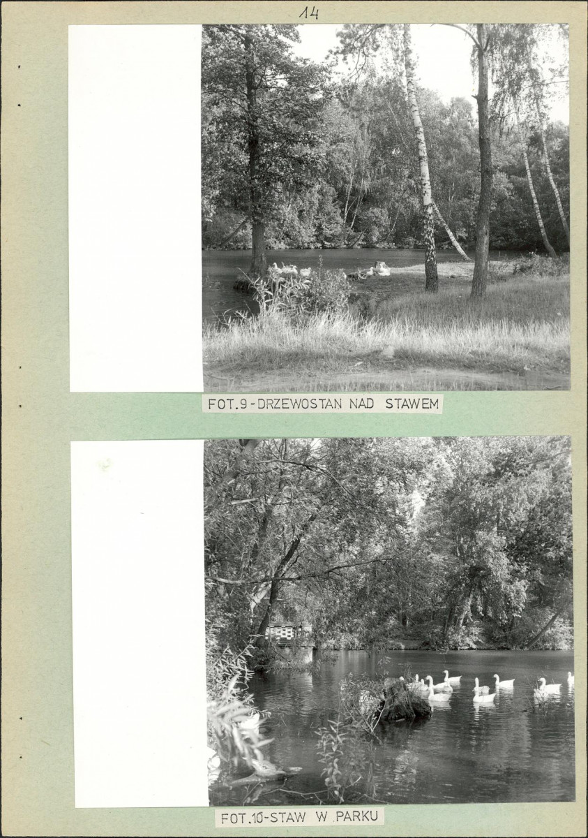 Ewidencja parkowa, skan nr 21