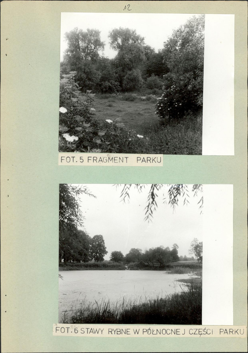 Ewidencja parkowa, skan nr 19
