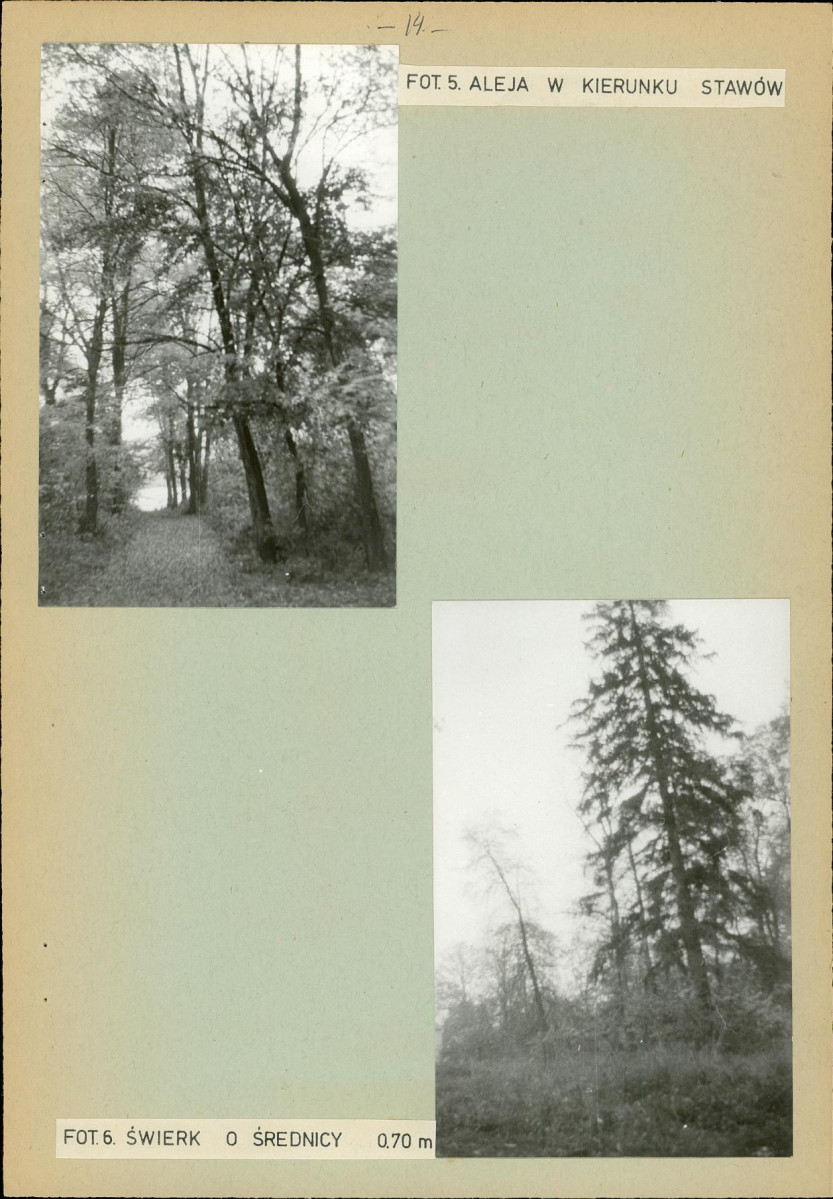 Ewidencja parkowa, skan nr 21