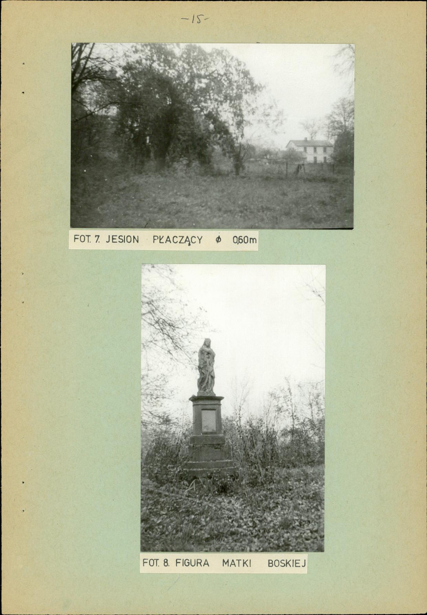 Ewidencja parkowa, skan nr 22