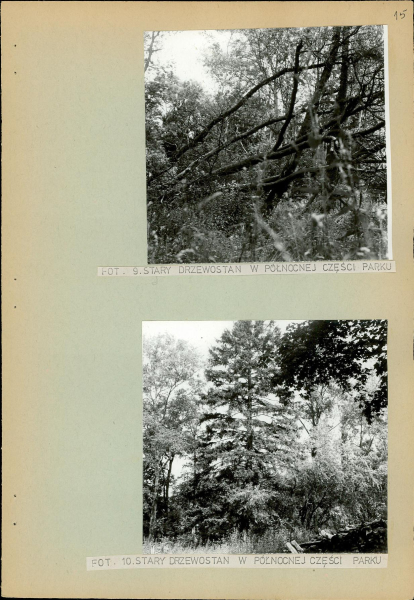 Ewidencja parkowa, skan nr 22