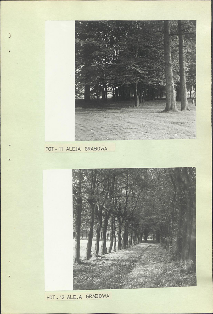 Ewidencja parkowa, skan nr 23