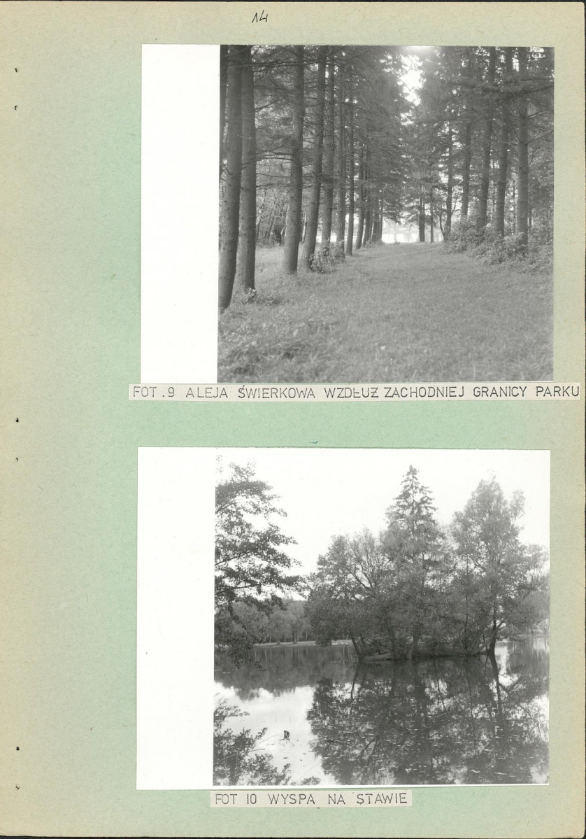 Ewidencja parkowa, skan nr 21