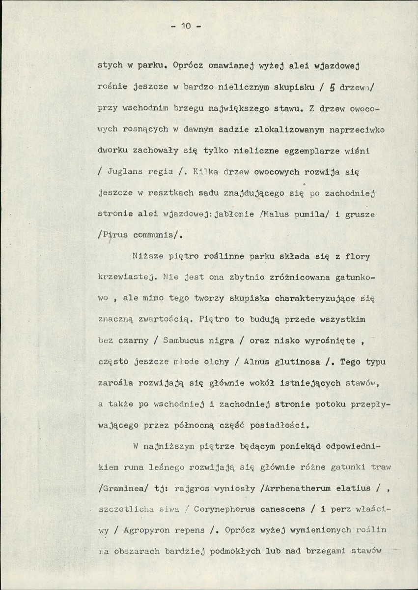 Ewidencja parkowa, skan nr 16