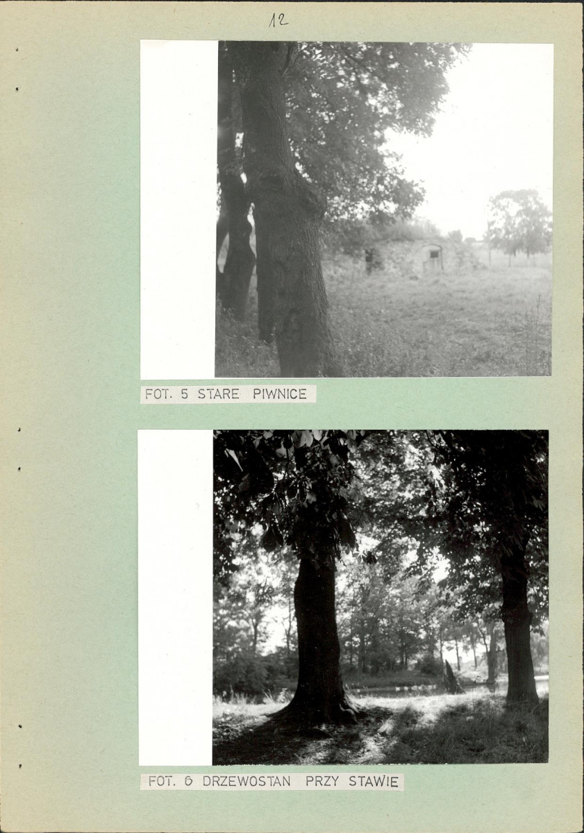 Ewidencja parkowa, skan nr 19