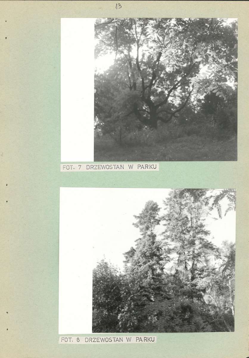 Ewidencja parkowa, skan nr 20