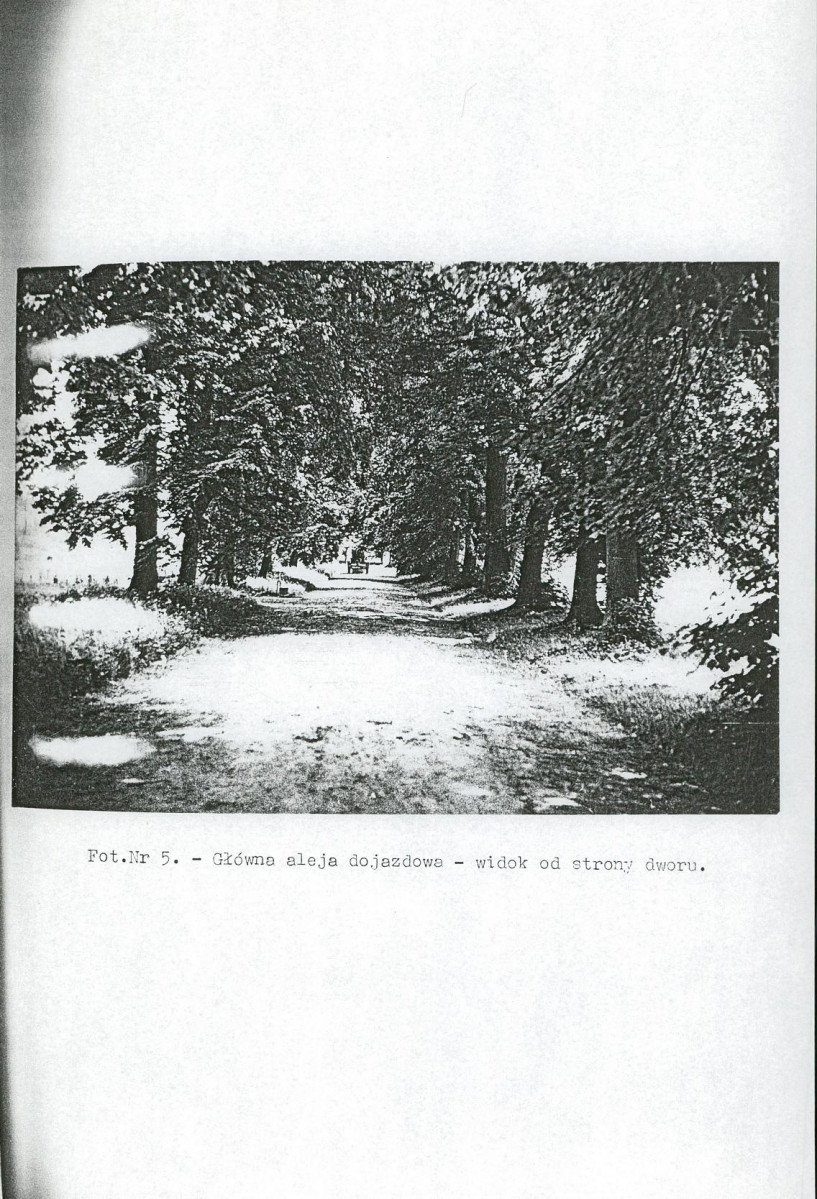 Ewidencja parkowa, skan nr 22