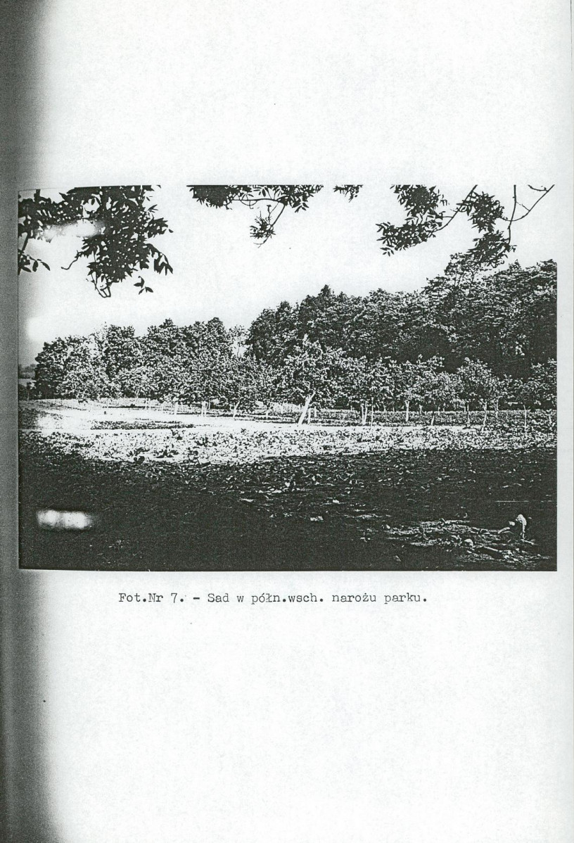 Ewidencja parkowa, skan nr 24