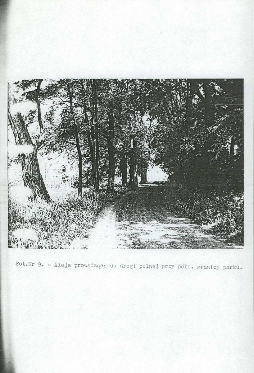 Ewidencja parkowa, skan nr 26