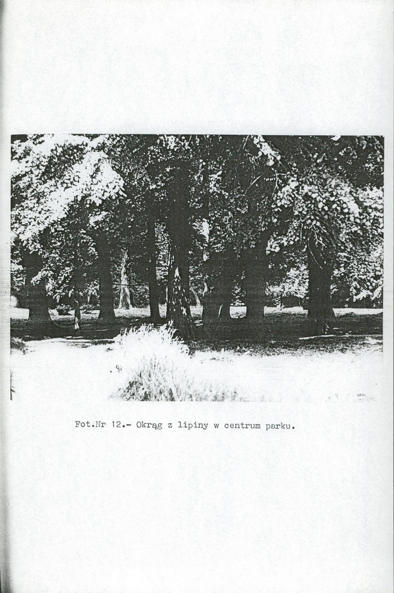Ewidencja parkowa, skan nr 29