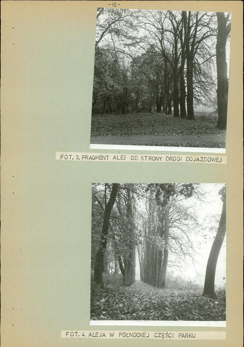 Ewidencja parkowa, skan nr 19