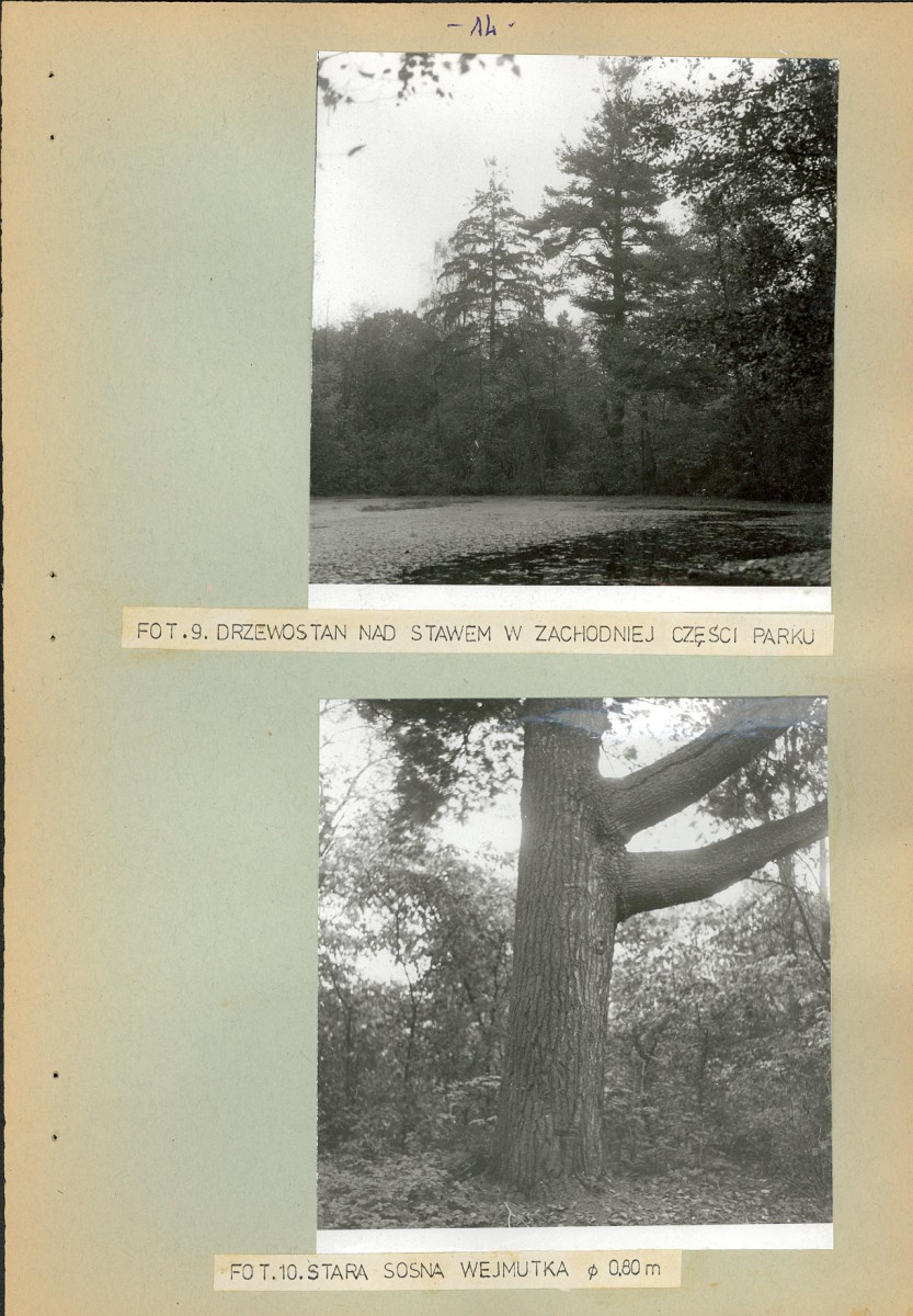 Ewidencja parkowa, skan nr 21