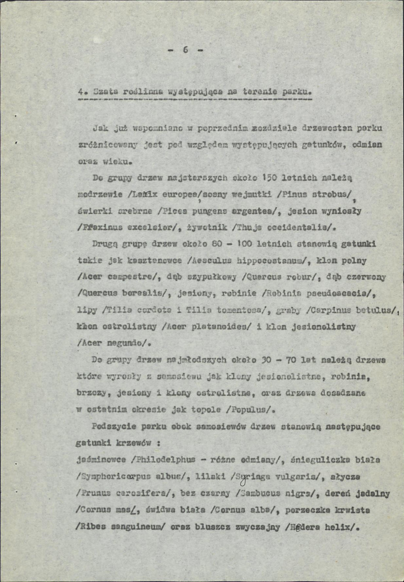 Ewidencja parkowa, skan nr 13