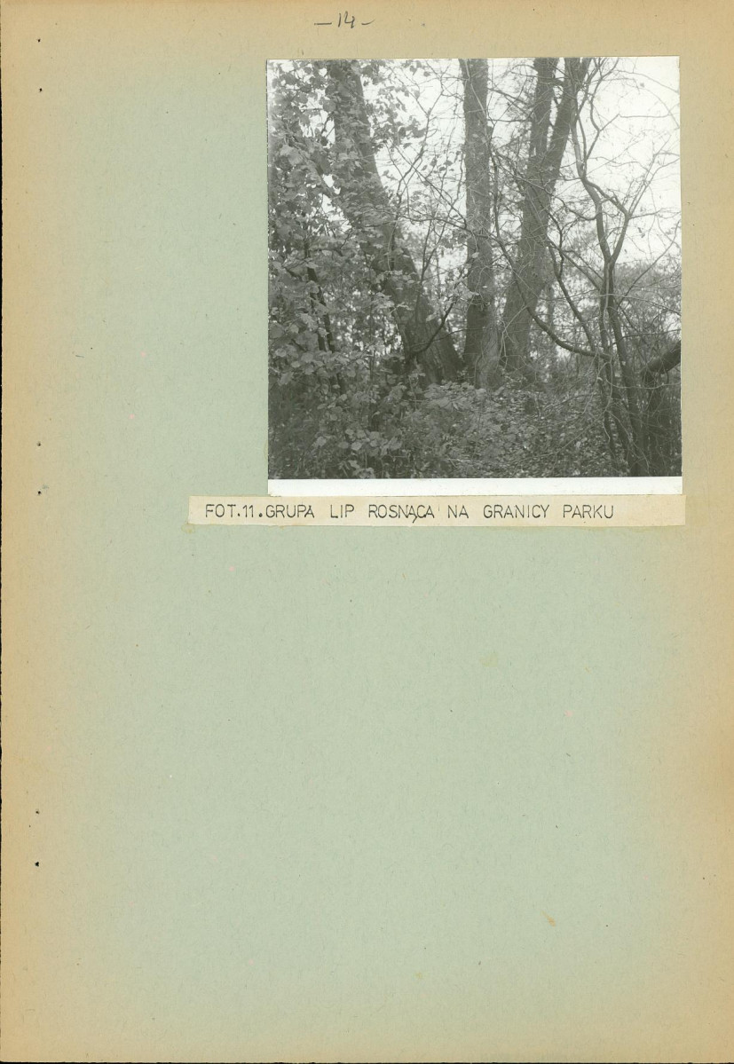 Ewidencja parkowa, skan nr 22