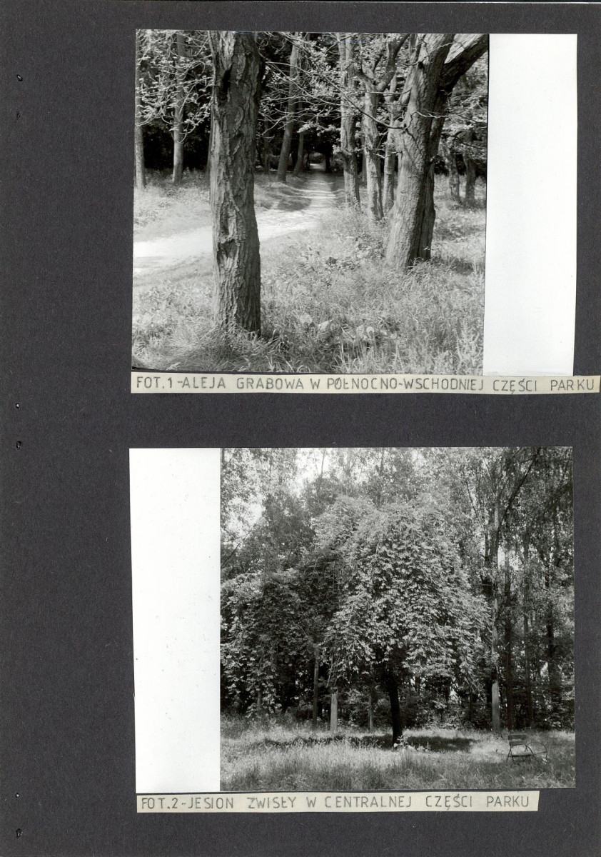 Ewidencja parkowa, skan nr 19