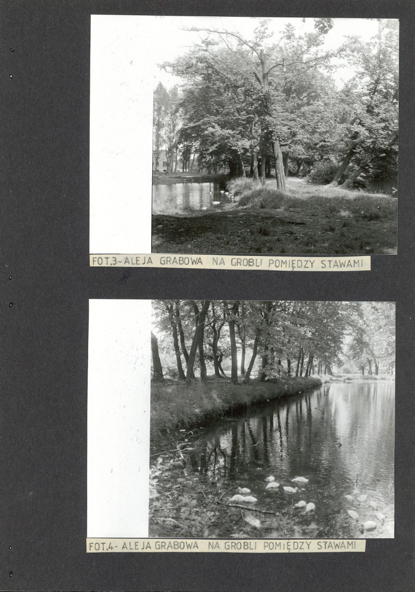 Ewidencja parkowa, skan nr 20