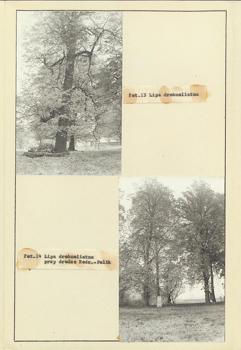 Ewidencja parkowa, skan nr 24