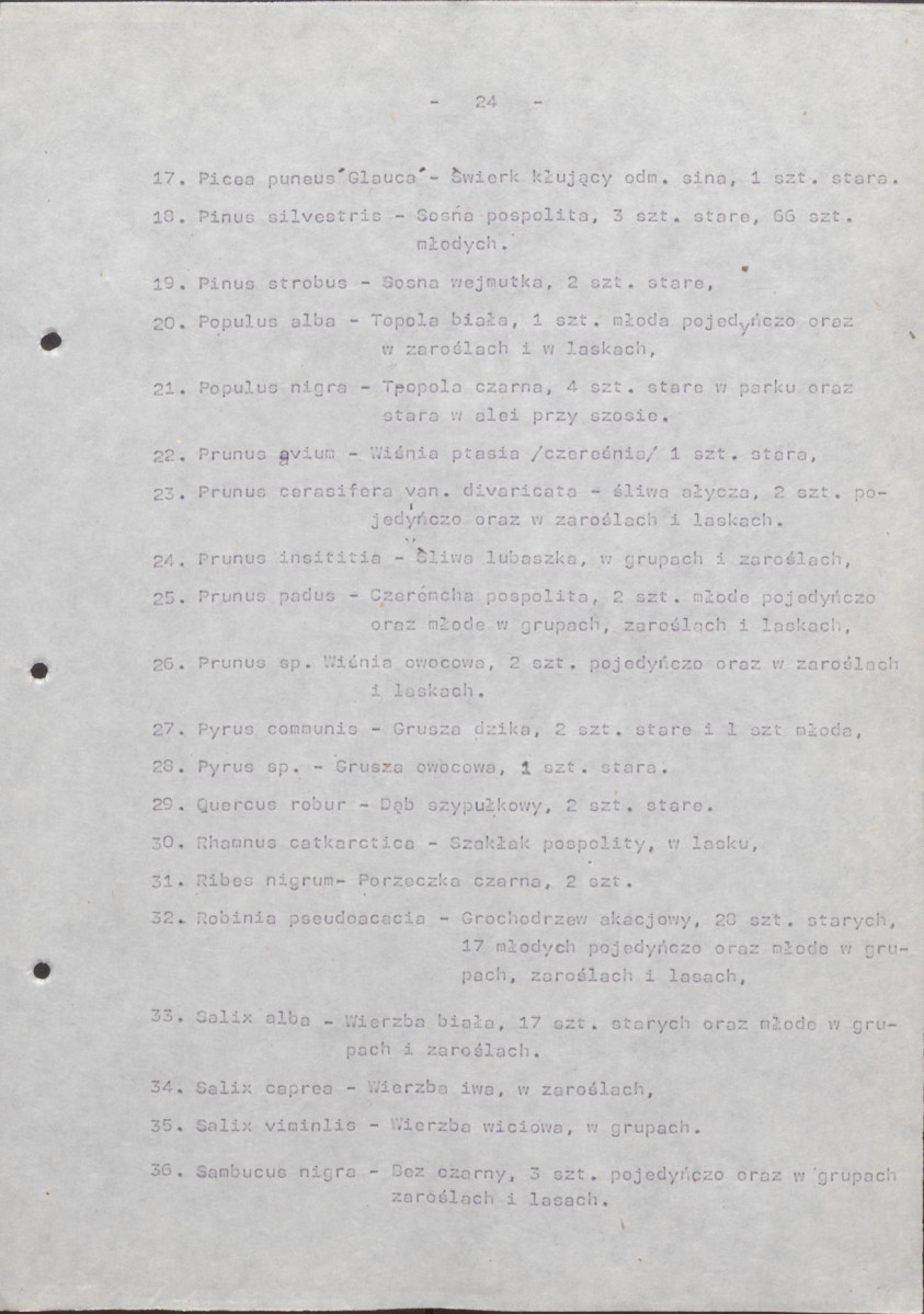 Ewidencja parkowa, skan nr 29