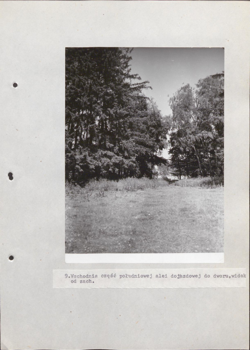 Ewidencja parkowa, skan nr 53