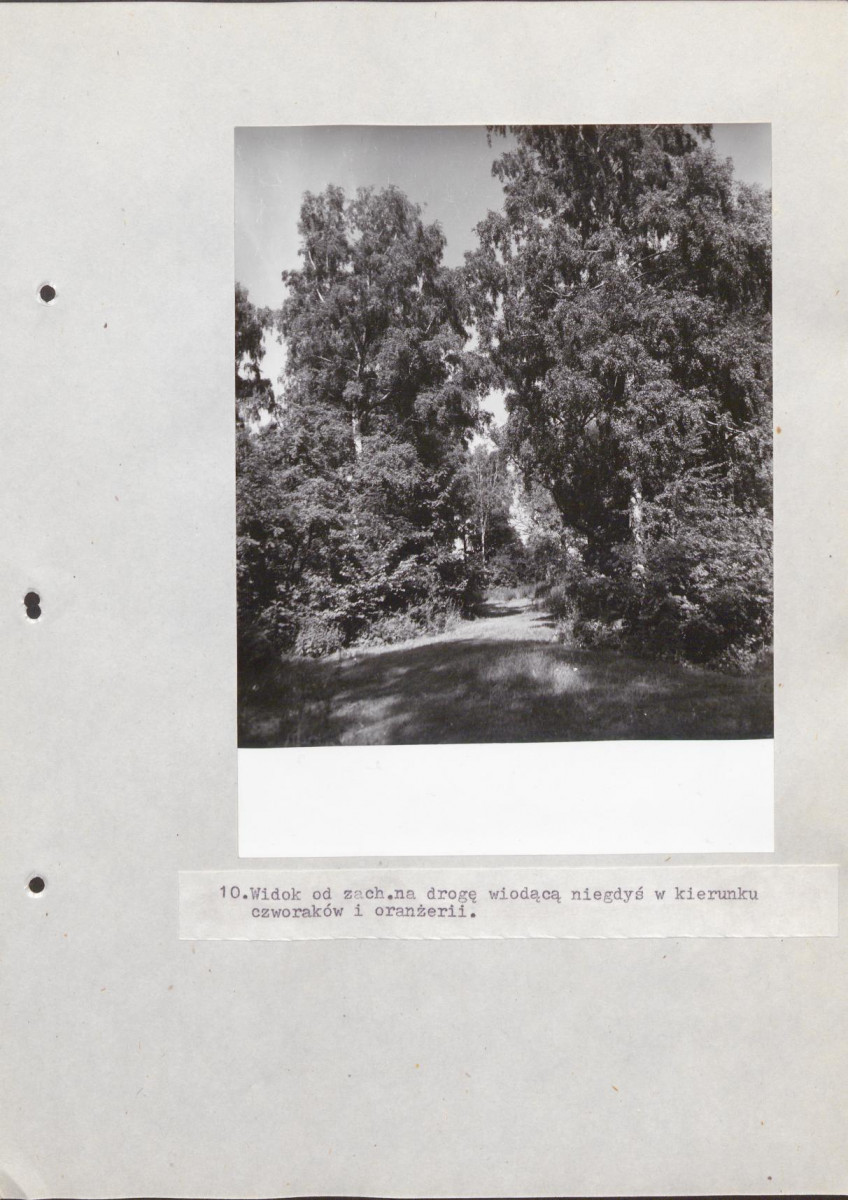 Ewidencja parkowa, skan nr 54