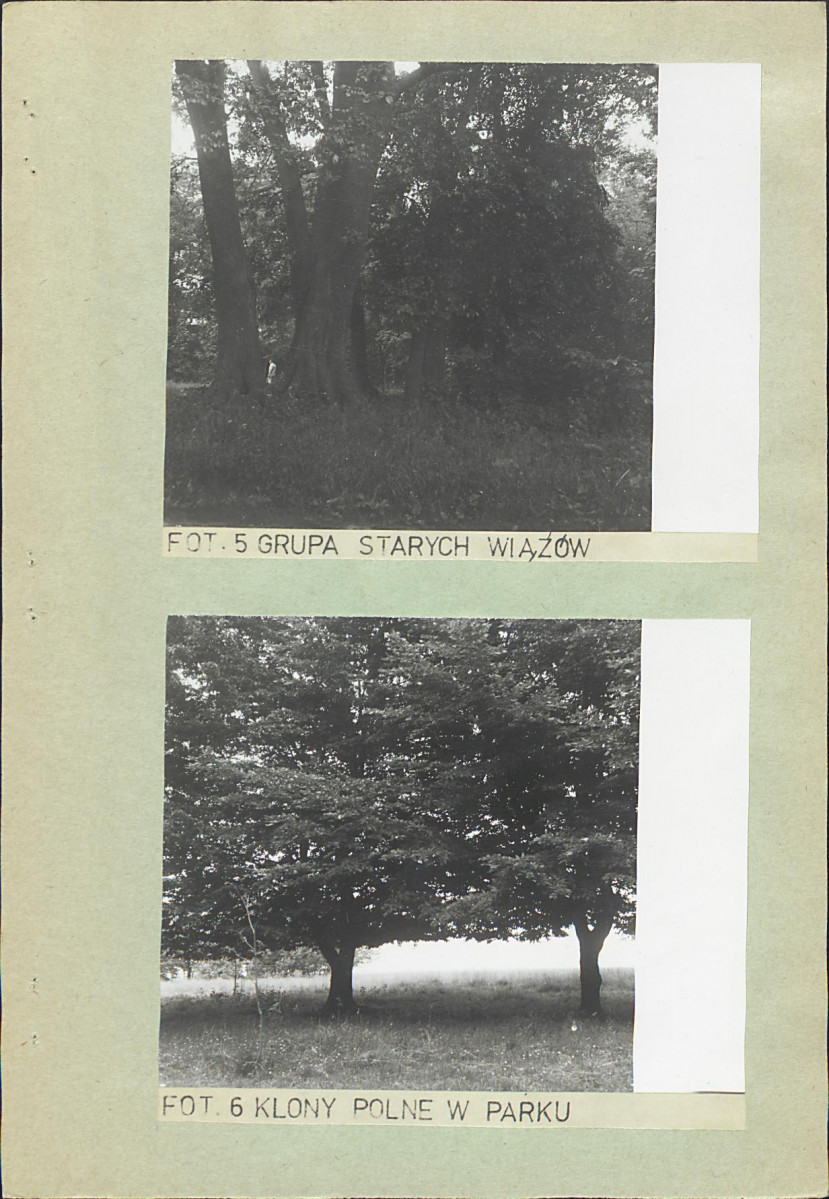 Ewidencja parkowa, skan nr 20