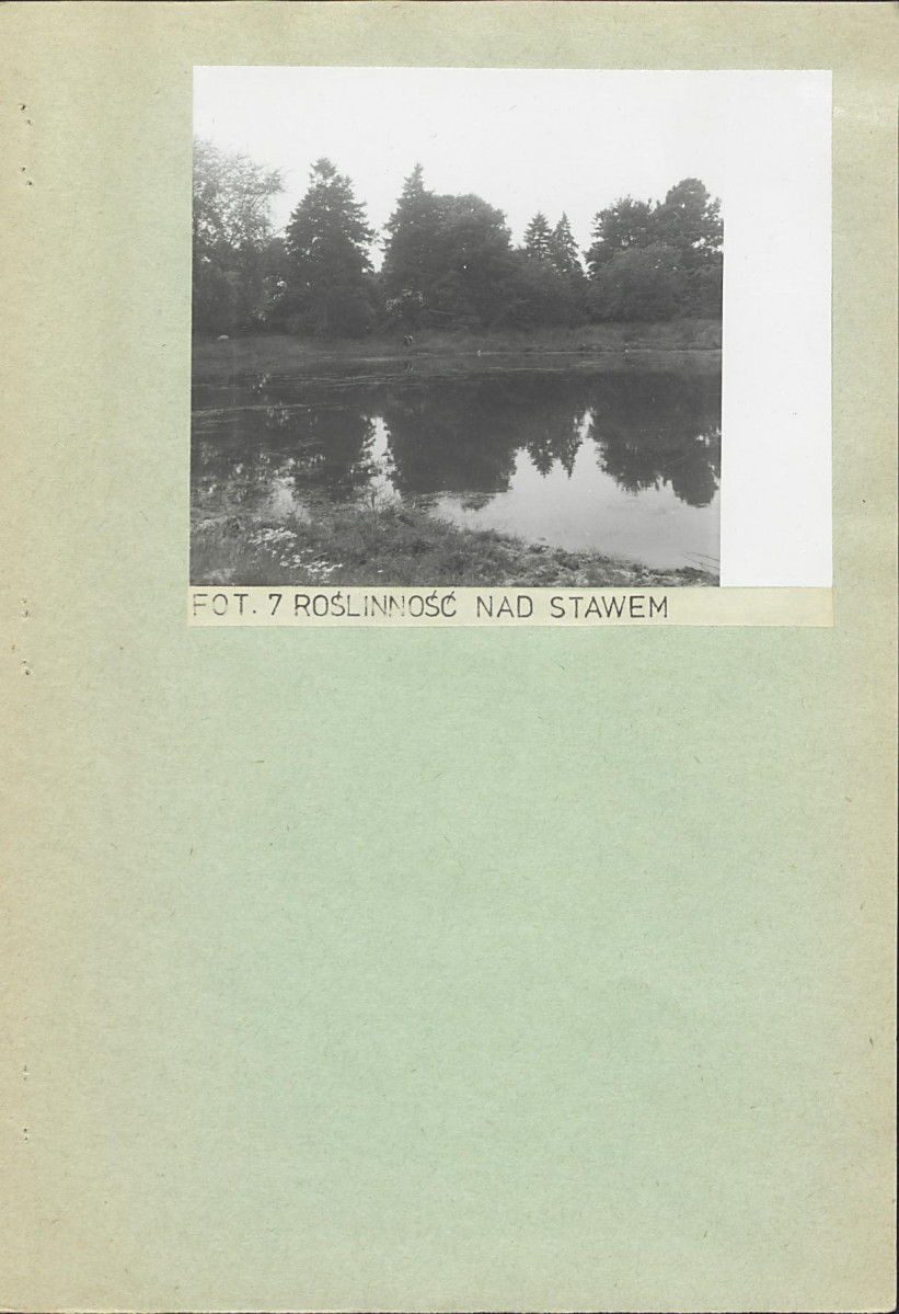 Ewidencja parkowa, skan nr 21