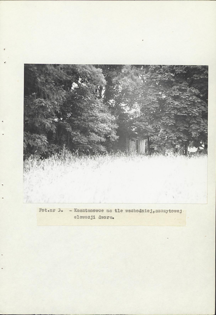 Ewidencja parkowa, skan nr 20