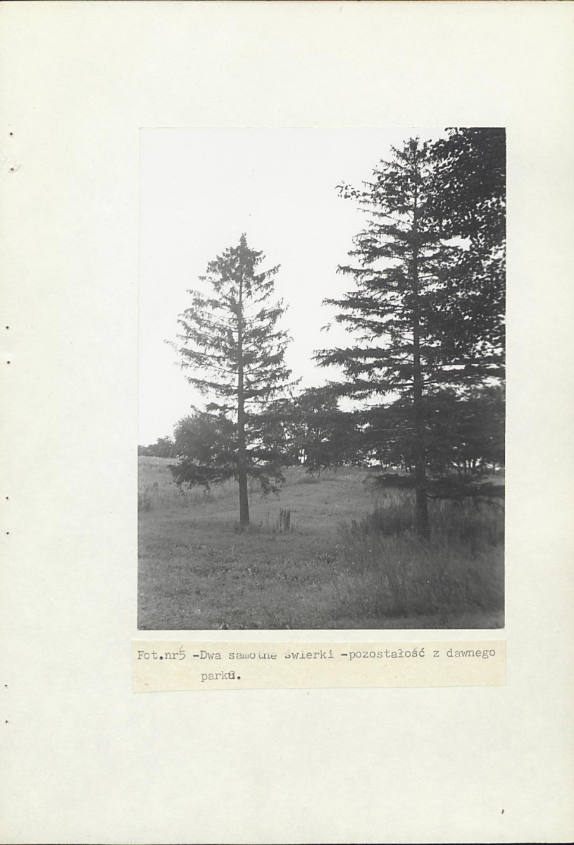 Ewidencja parkowa, skan nr 22