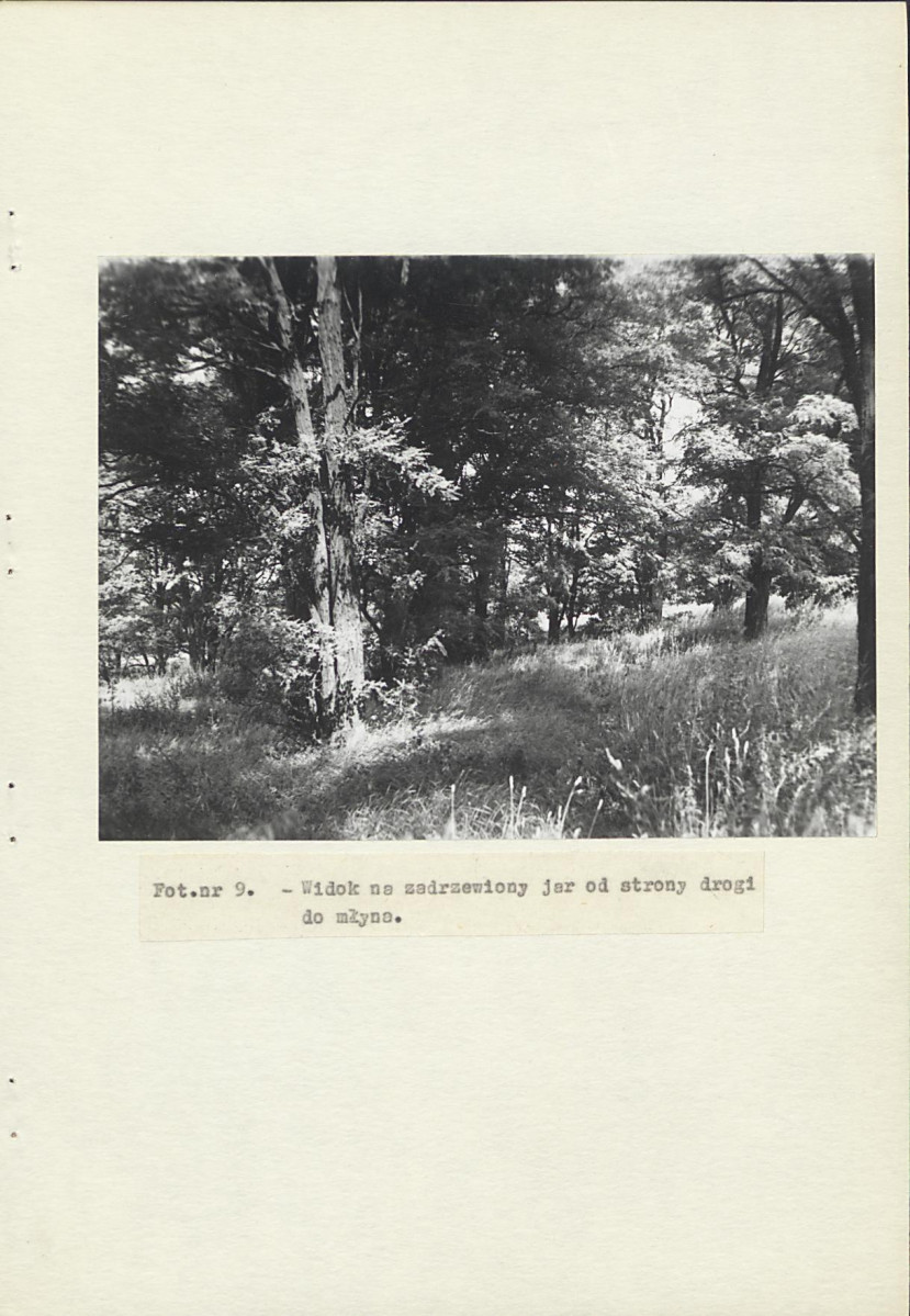 Ewidencja parkowa, skan nr 26