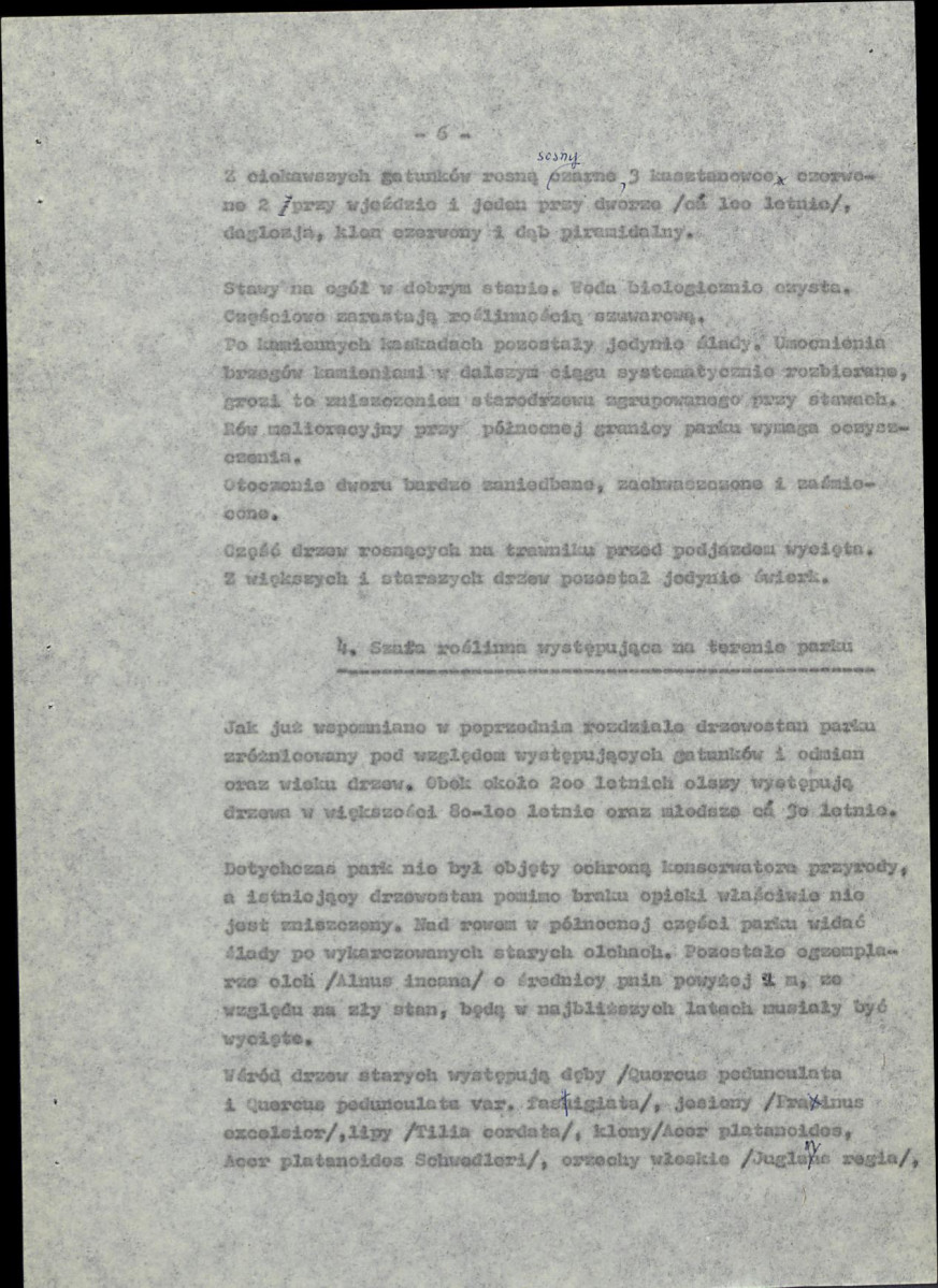 Ewidencja parkowa, skan nr 13