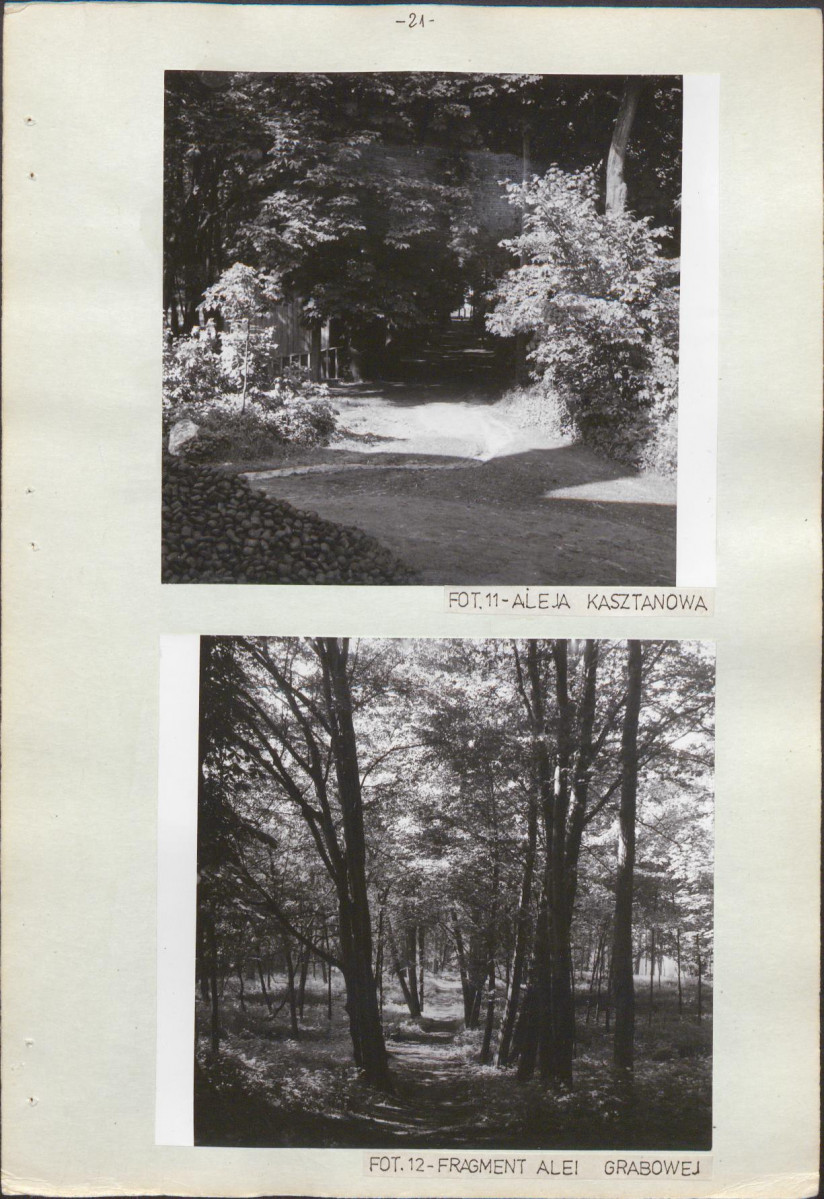 Ewidencja parkowa, skan nr 29