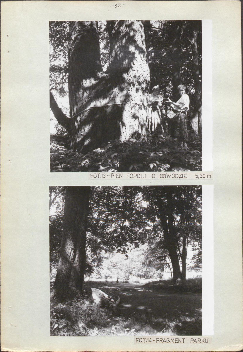 Ewidencja parkowa, skan nr 30