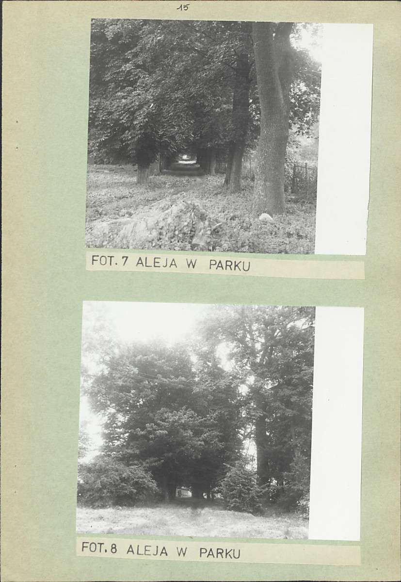 Ewidencja parkowa, skan nr 21