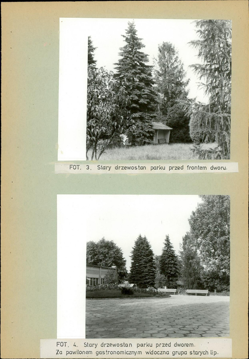 Ewidencja parkowa, skan nr 21