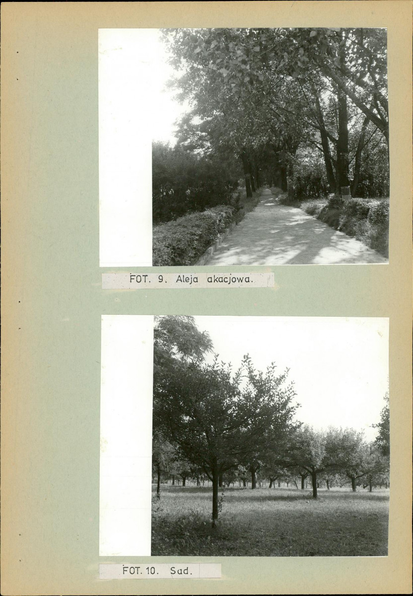 Ewidencja parkowa, skan nr 24