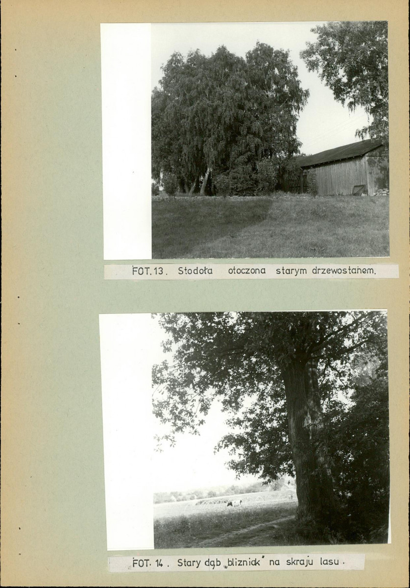Ewidencja parkowa, skan nr 26
