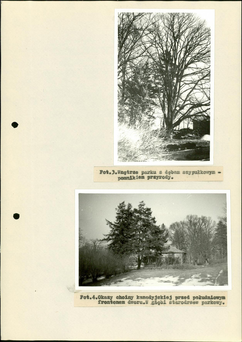 Ewidencja parkowa, skan nr 20