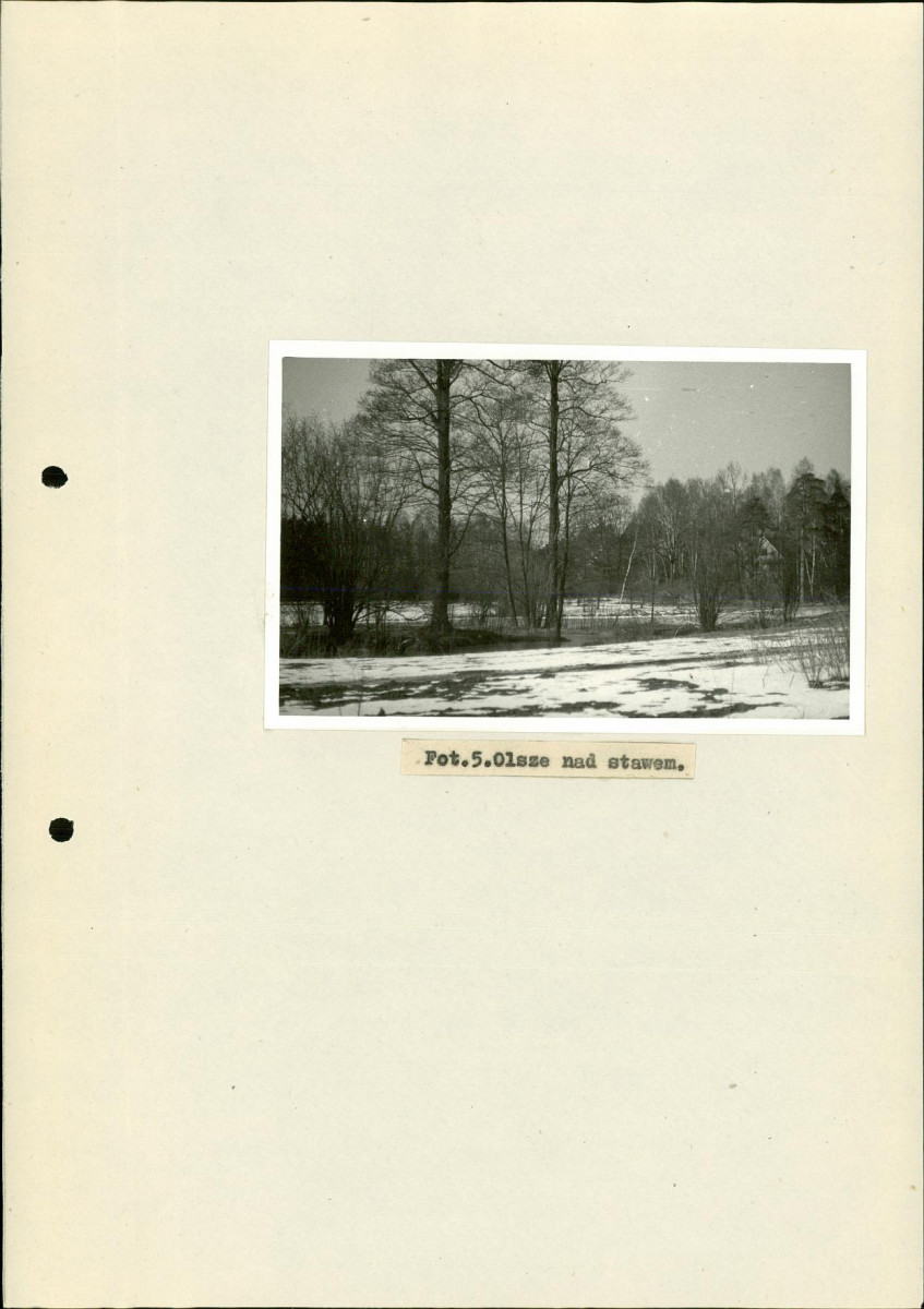 Ewidencja parkowa, skan nr 21