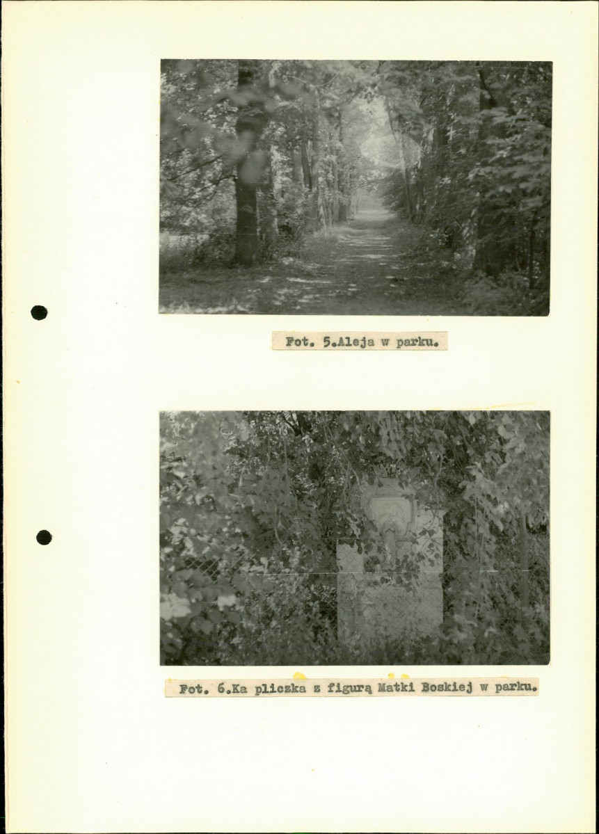 Ewidencja parkowa, skan nr 21