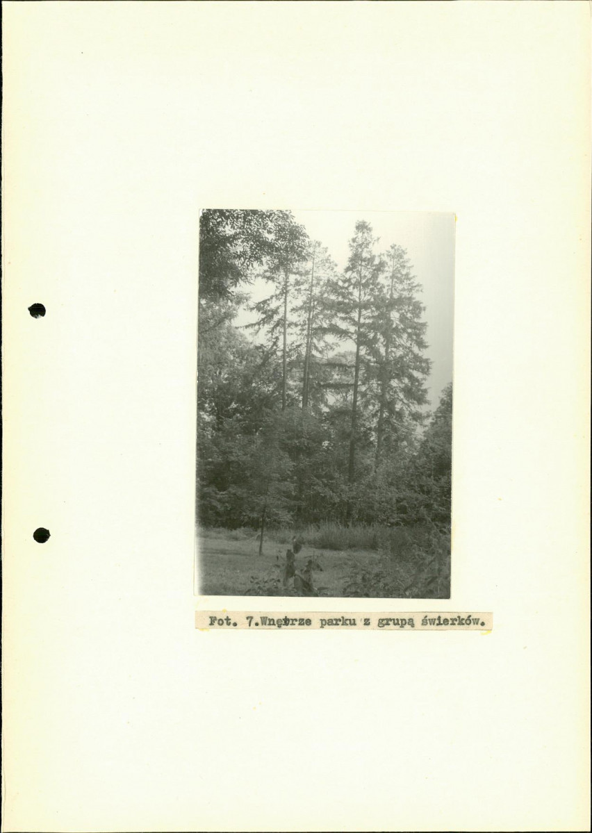 Ewidencja parkowa, skan nr 22