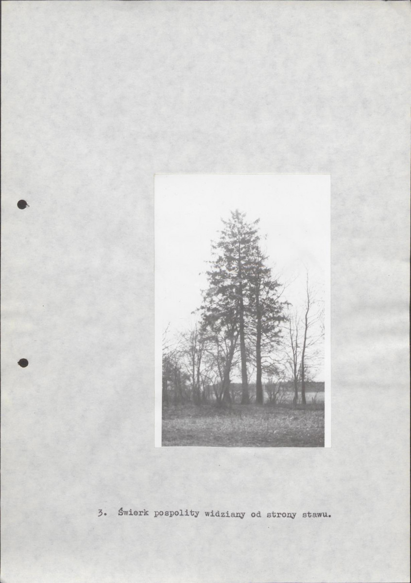 Ewidencja parkowa, skan nr 24