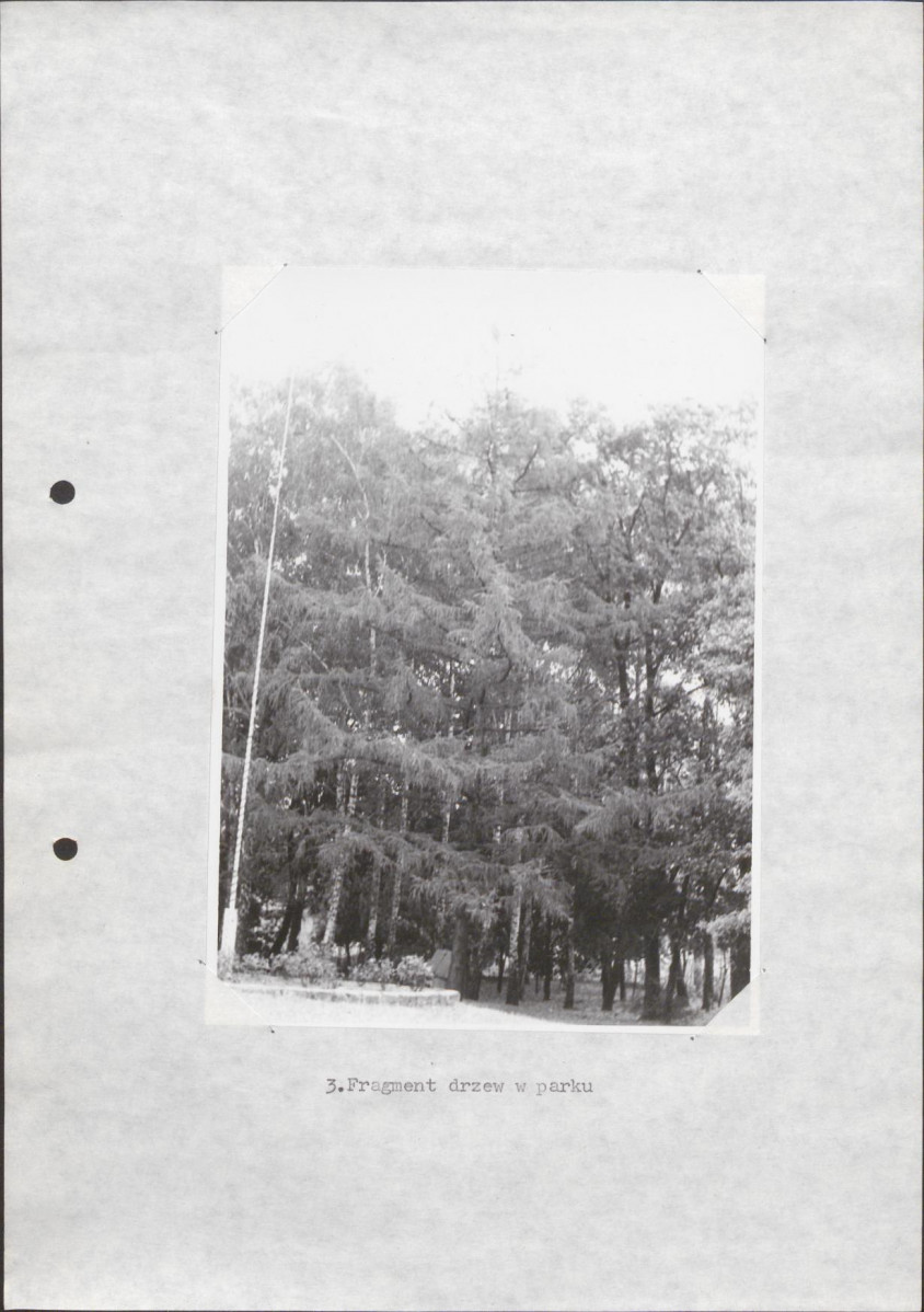 Ewidencja parkowa, skan nr 24