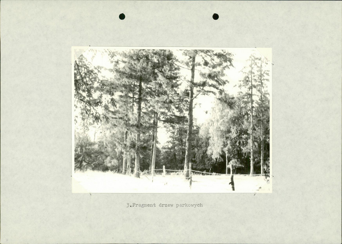 Ewidencja parkowa, skan nr 22