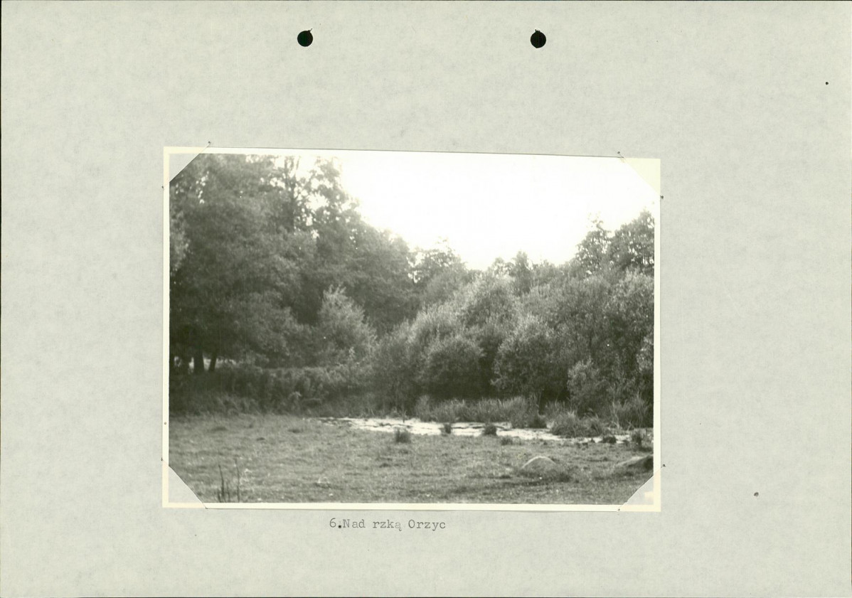Ewidencja parkowa, skan nr 25