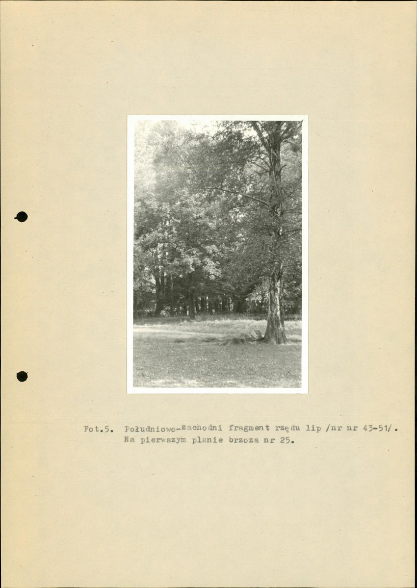 Ewidencja parkowa, skan nr 28
