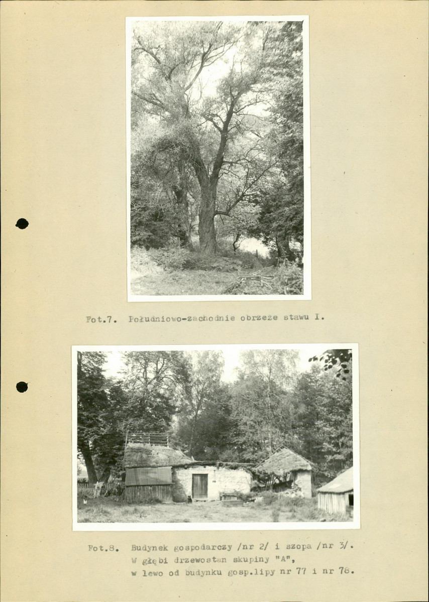 Ewidencja parkowa, skan nr 30