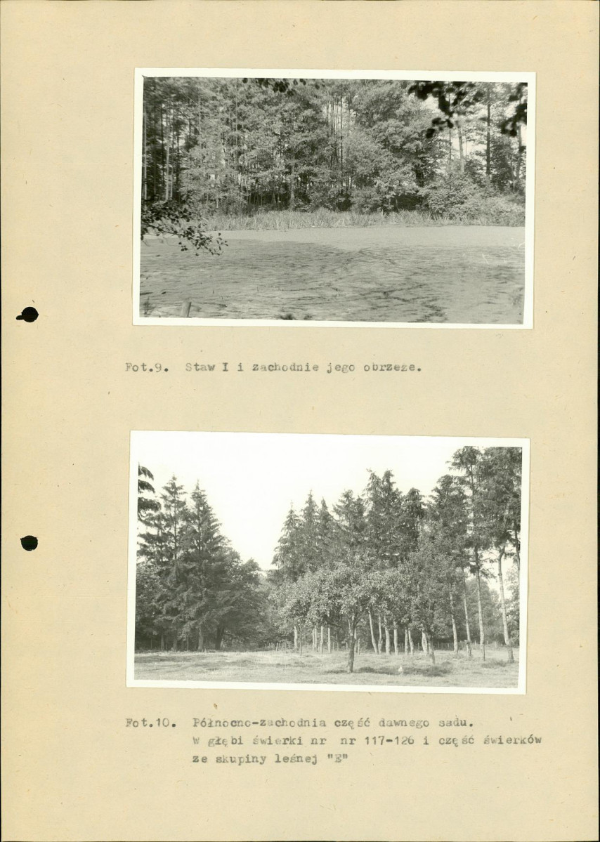 Ewidencja parkowa, skan nr 31