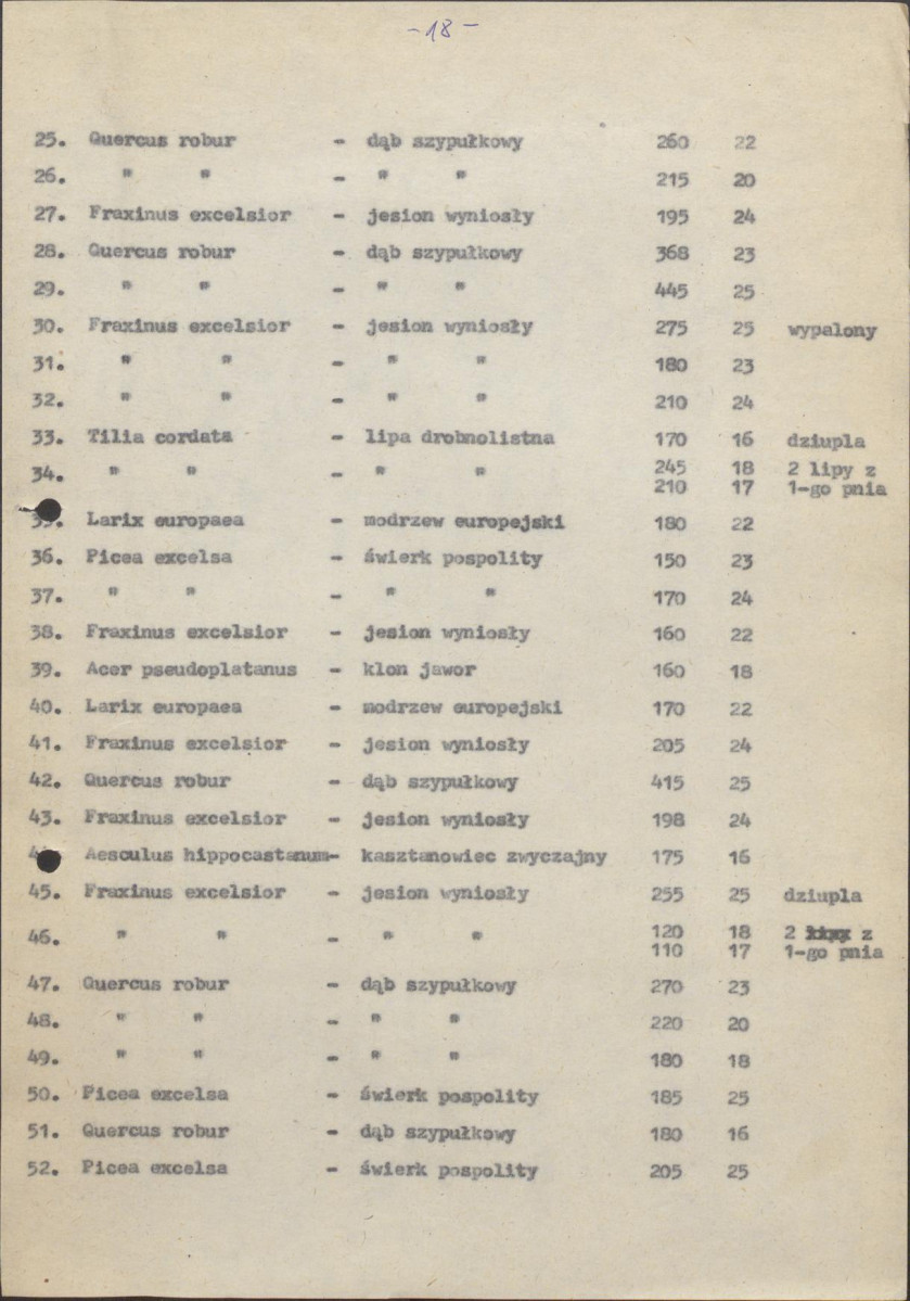 Ewidencja parkowa, skan nr 21